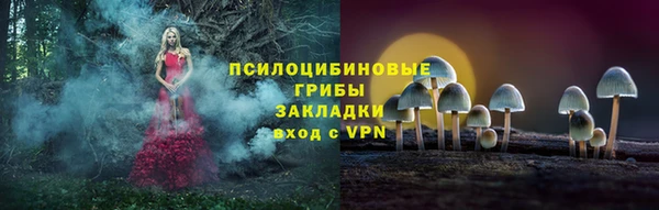 a pvp Арсеньев