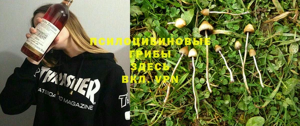 не бодяженный Армянск