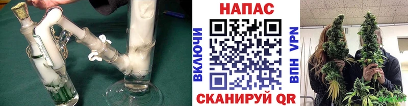 Канабис OG Kush  где продают   Ясный 